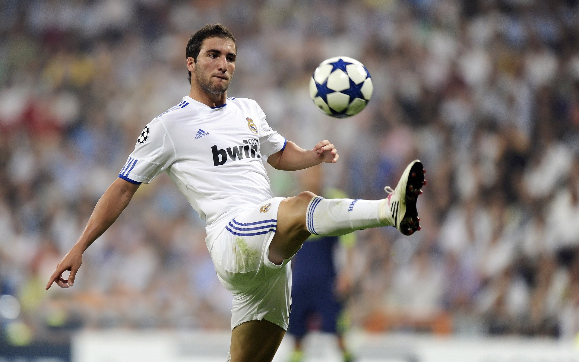 Leyu Sport登录入口-“萨尔·巴赫，南非橄榄球的新鲜血液，强势亮相世界杯”